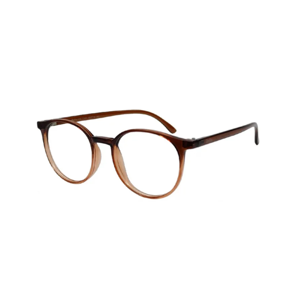 OptiFlex O1201 C30 Brown