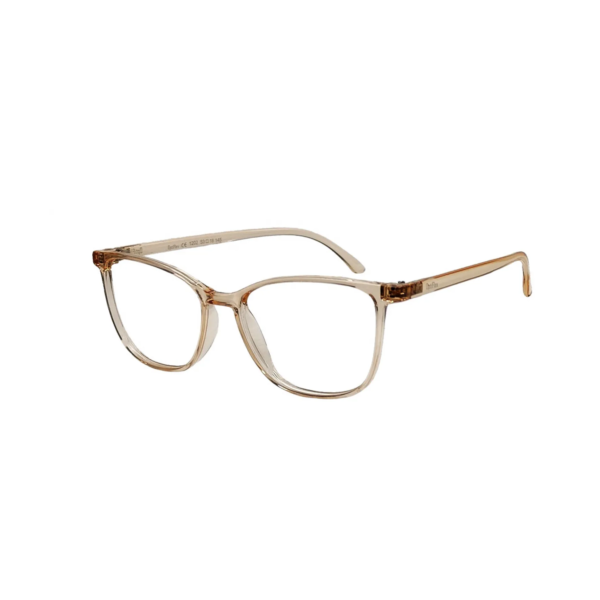 OptiFlex O1202 C31 Grey Transparent