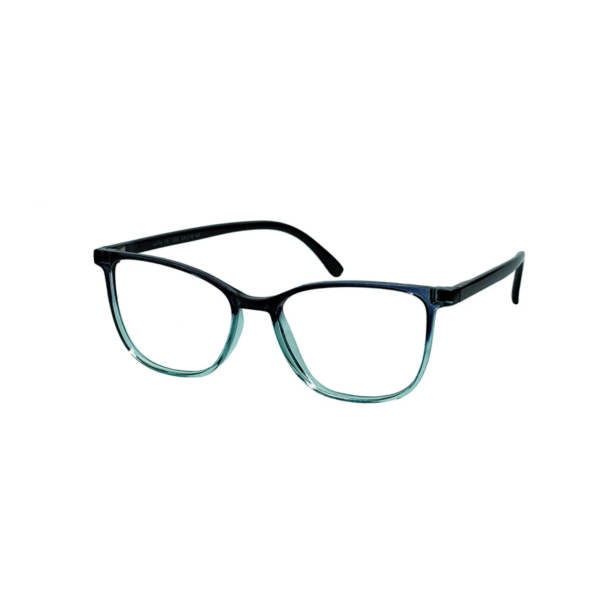 OptiFlex O1202 C44 Turquise
