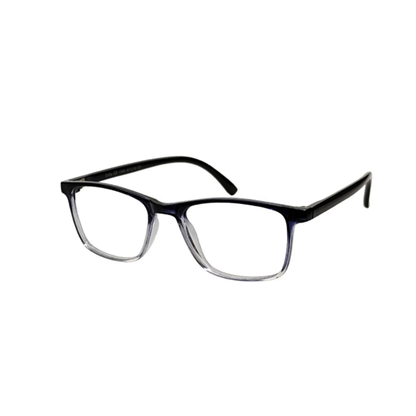 OptiFlex O1304 C43 Transparente