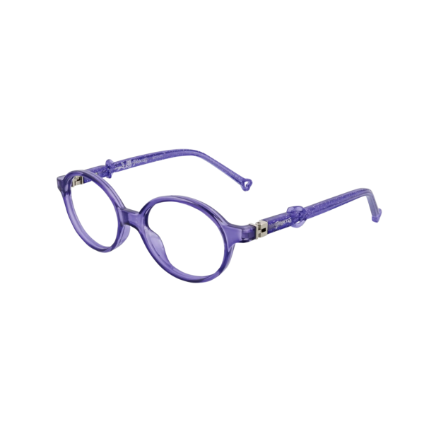 Disney Princess Optical Frame