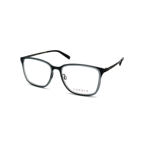 ESPRIT Man Optical Frame