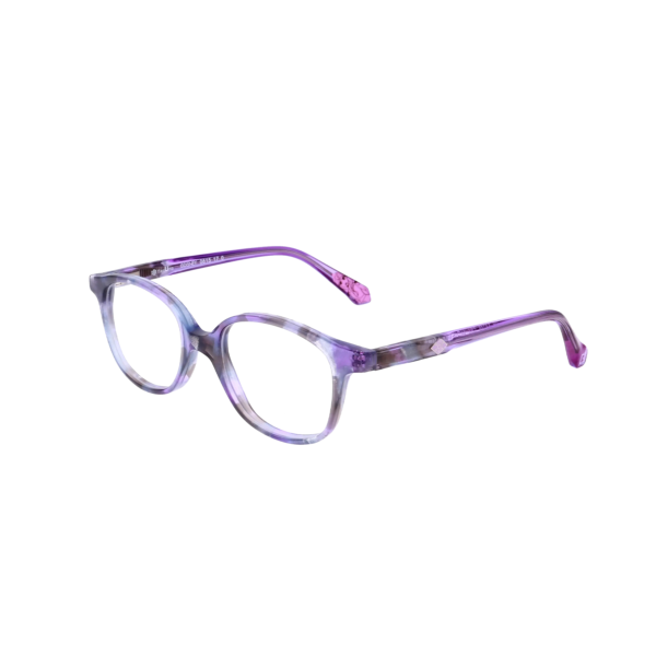 Disney Princess Optical Frame