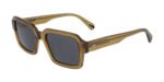 Coca-Cola 15045 533 sunglasses in dark green acetate
